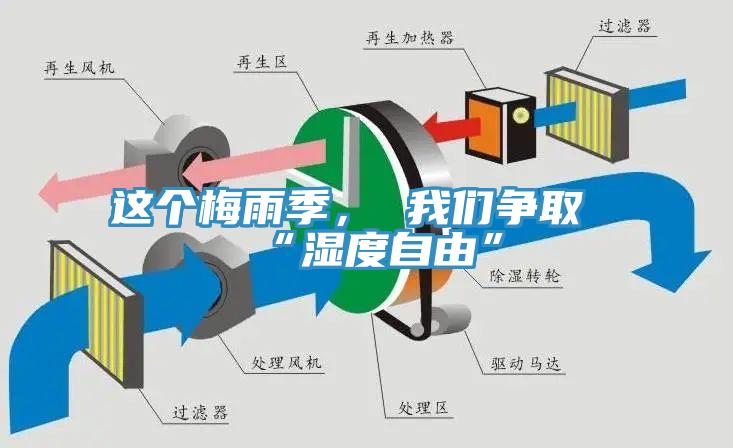 這個梅雨季， 我們爭取“濕度自由”