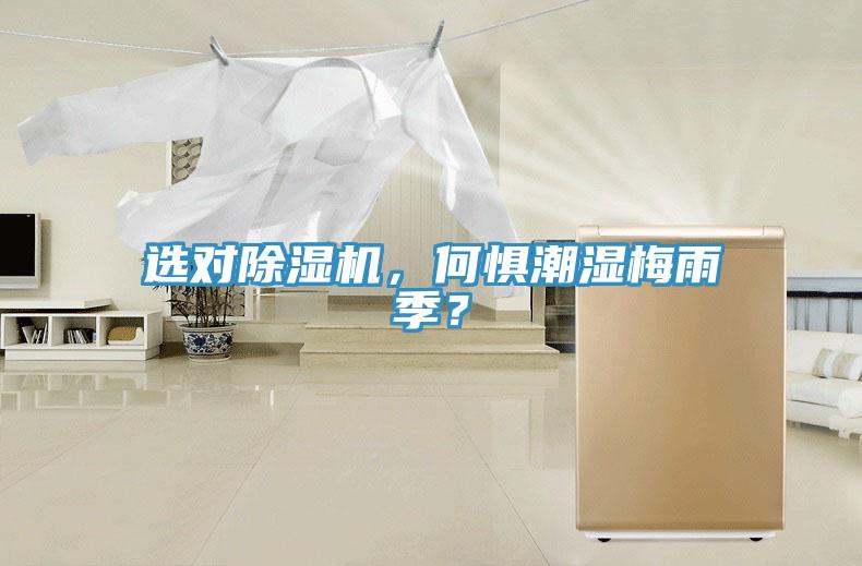 選對除濕機，何懼潮濕梅雨季？