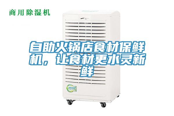 自助火鍋店食材保鮮機，讓食材更水靈新鮮
