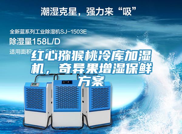 紅心獼猴桃冷庫加濕機，奇異果增濕保鮮方案
