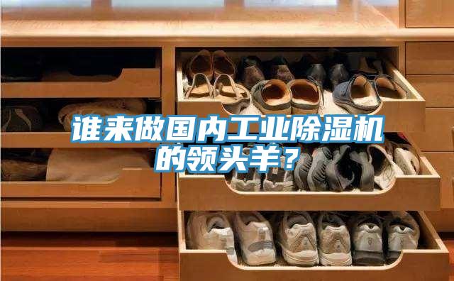 誰來做國內(nèi)工業(yè)除濕機(jī)的領(lǐng)頭羊？