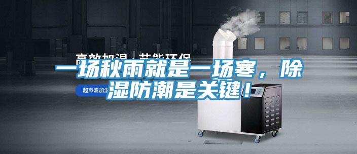 一場秋雨就是一場寒，除濕防潮是關鍵！