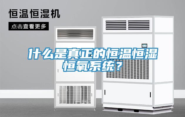 什么是真正的恒溫恒濕恒氧系統？