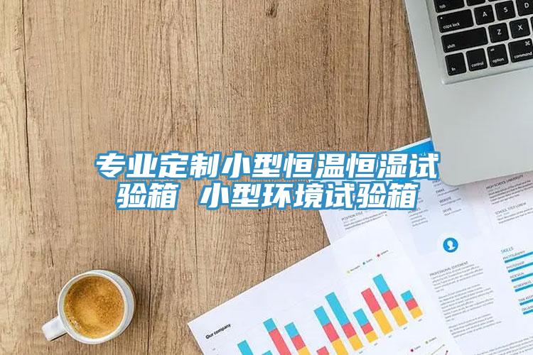 專業定制小型恒溫恒濕試驗箱 小型環境試驗箱