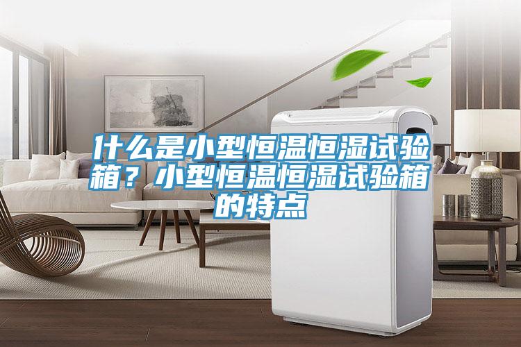 什么是小型恒溫恒濕試驗(yàn)箱？小型恒溫恒濕試驗(yàn)箱的特點(diǎn)