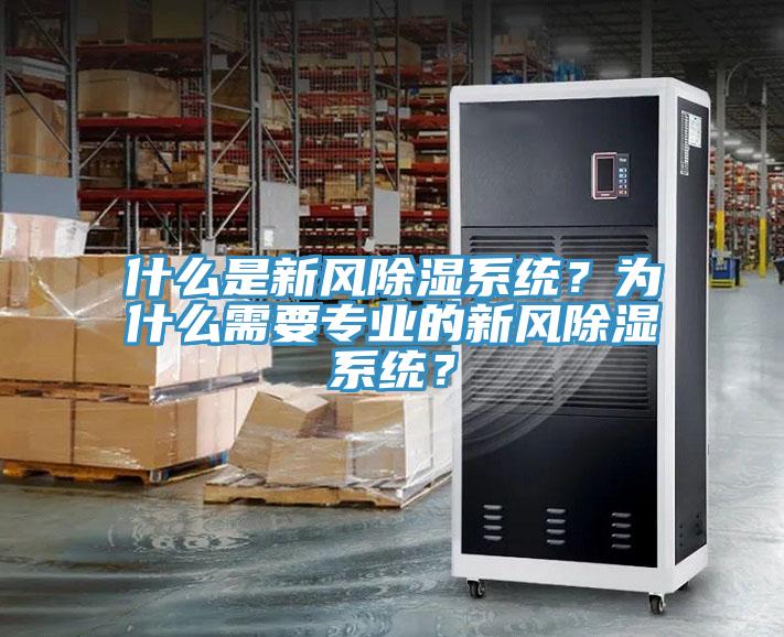 什么是新風除濕系統？為什么需要專業的新風除濕系統？