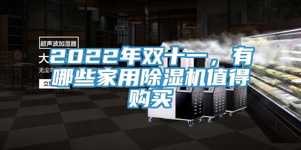 2022年雙十一，有哪些家用除濕機值得購買