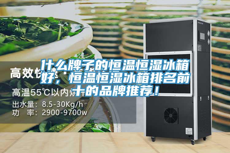 什么牌子的恒溫恒濕冰箱好，恒溫恒濕冰箱排名前十的品牌推薦！