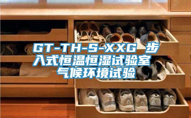 GT-TH-S-XXG 步入式恒溫恒濕試驗室 氣候環境試驗
