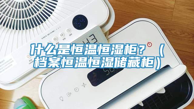 什么是恒溫恒濕柜？（檔案恒溫恒濕儲(chǔ)藏柜）