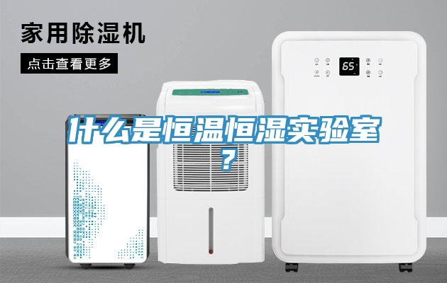 什么是恒溫恒濕實(shí)驗(yàn)室？