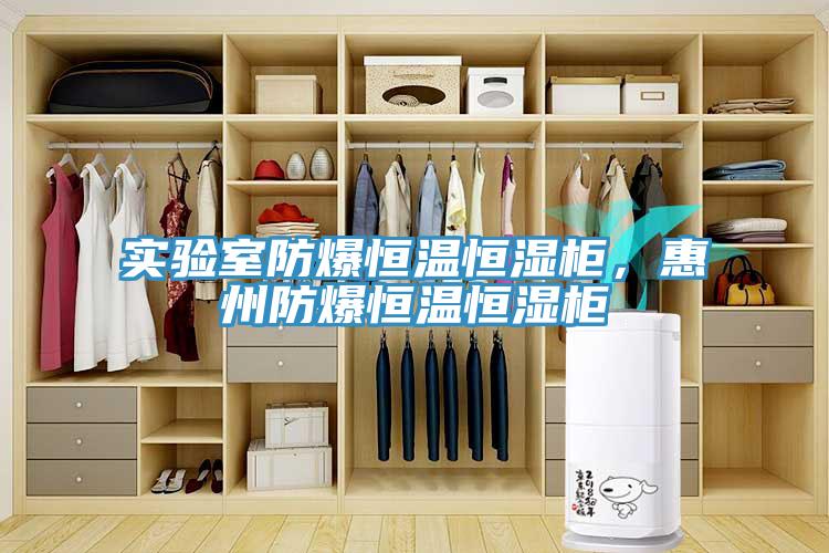 實驗室防爆恒溫恒濕柜，惠州防爆恒溫恒濕柜
