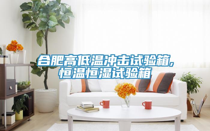 合肥高低溫沖擊試驗箱,恒溫恒濕試驗箱