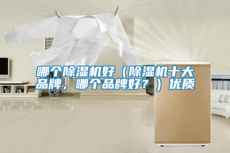 哪個除濕機好（除濕機十大品牌，哪個品牌好？）優(yōu)質(zhì)