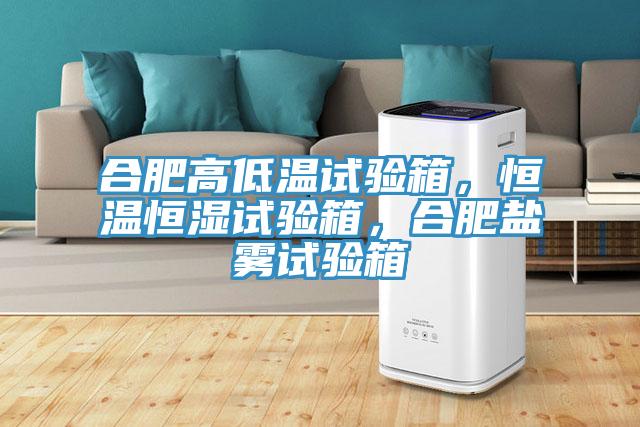 合肥高低溫試驗箱，恒溫恒濕試驗箱，合肥鹽霧試驗箱
