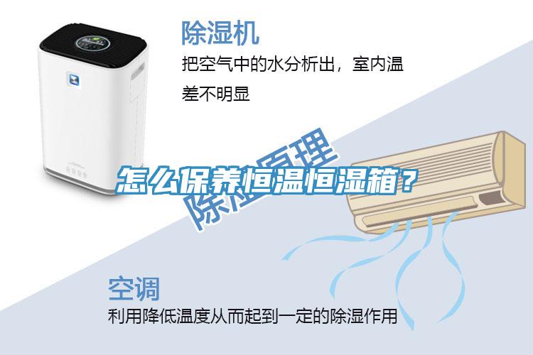 怎么保養恒溫恒濕箱？
