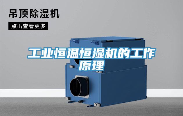 工業恒溫恒濕機的工作原理