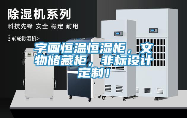 字畫恒溫恒濕柜，文物儲(chǔ)藏柜，非標(biāo)設(shè)計(jì)定制！
