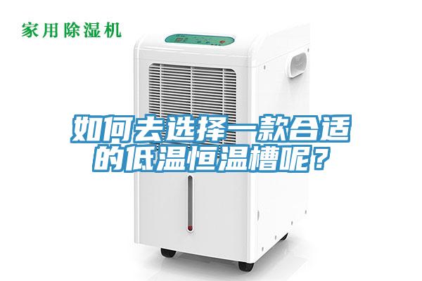 如何去選擇一款合適的低溫恒溫槽呢？