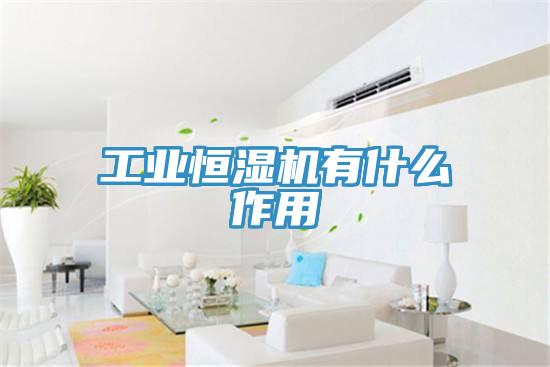 工業恒濕機有什么作用