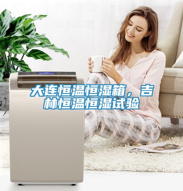 大連恒溫恒濕箱，吉林恒溫恒濕試驗