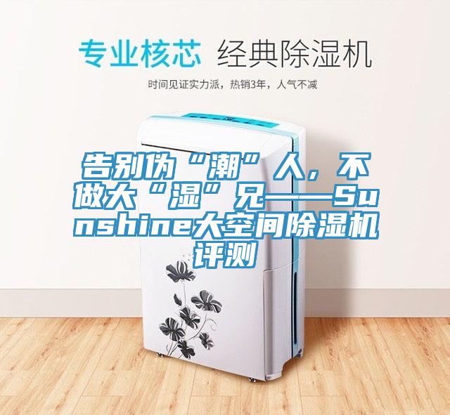 告別偽“潮”人，不做大“濕”兄——Sunshine大空間除濕機(jī)評(píng)測(cè)