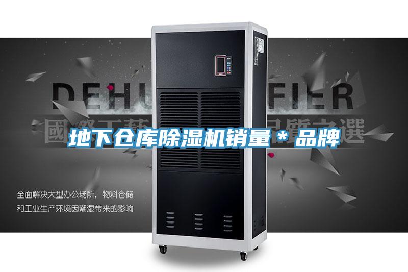 地下倉庫除濕機(jī)銷量*品牌