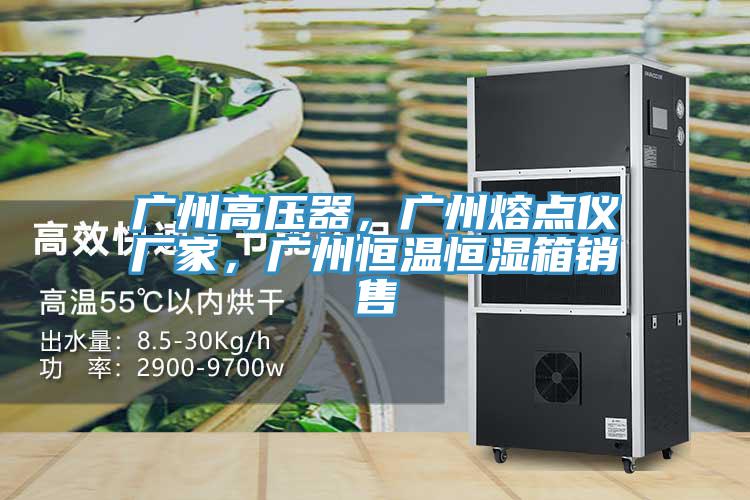 廣州高壓器，廣州熔點儀廠家，廣州恒溫恒濕箱銷售