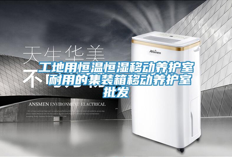 工地用恒溫恒濕移動養護室 耐用的集裝箱移動養護室批發