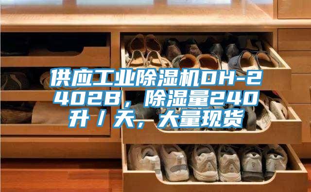 供應工業除濕機DH-2402B,除濕量240升/天,大量現貨