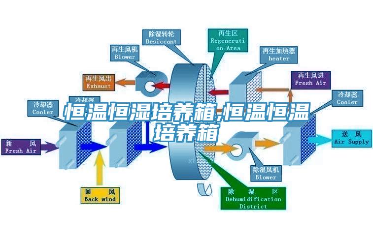恒溫恒濕培養箱,恒溫恒溫培養箱
