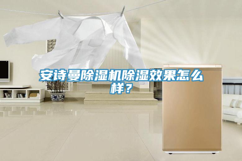 安詩曼除濕機除濕效果怎么樣?