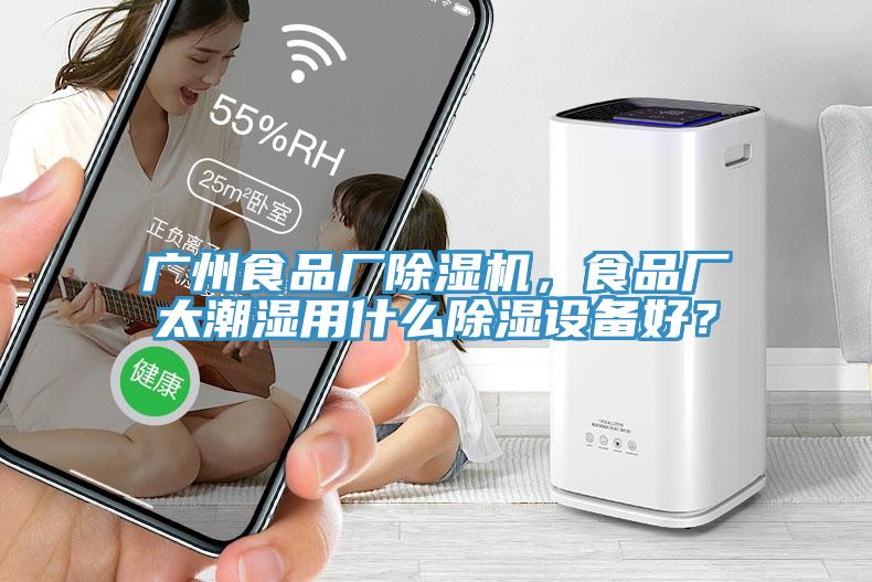 廣州食品廠除濕機(jī)，食品廠太潮濕用什么除濕設(shè)備好？