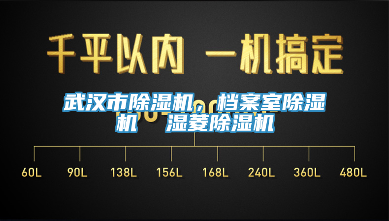 武漢市除濕機(jī)，檔案室除濕機(jī)  濕菱除濕機(jī)