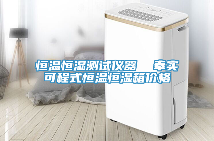 恒溫恒濕測試儀器  奉實(shí)可程式恒溫恒濕箱價格
