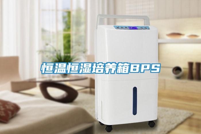 恒溫恒濕培養箱BPS