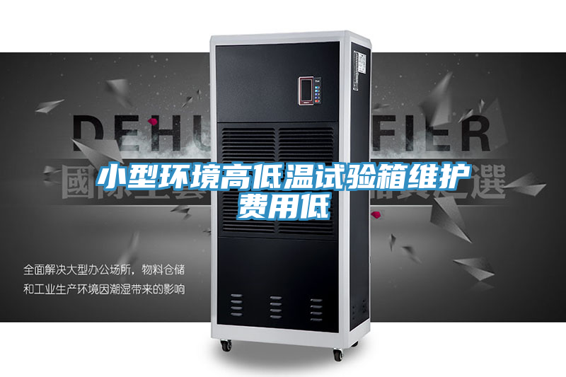 小型環(huán)境高低溫試驗箱維護(hù)費(fèi)用低