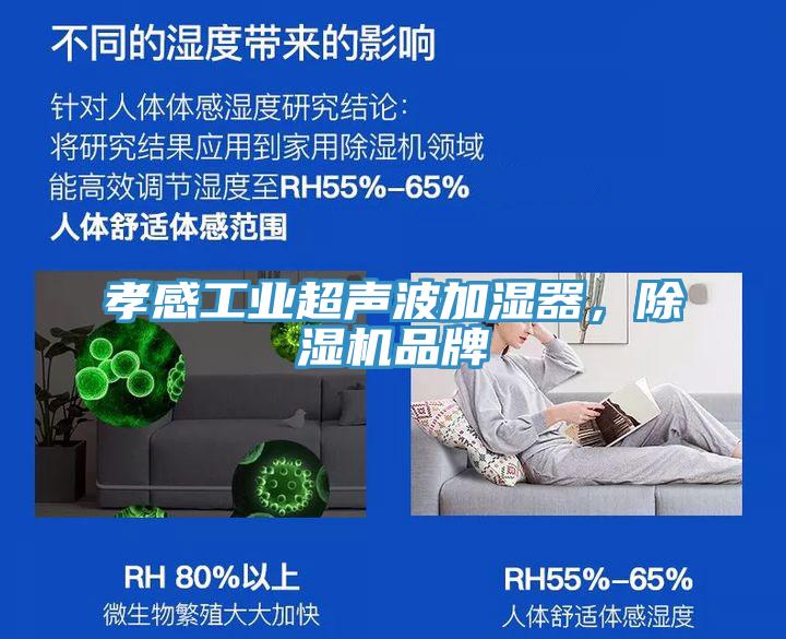 孝感工業超聲波加濕器，除濕機品牌