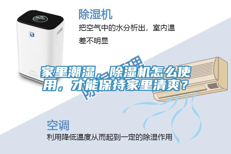 家里潮濕，除濕機(jī)怎么使用，才能保持家里清爽？