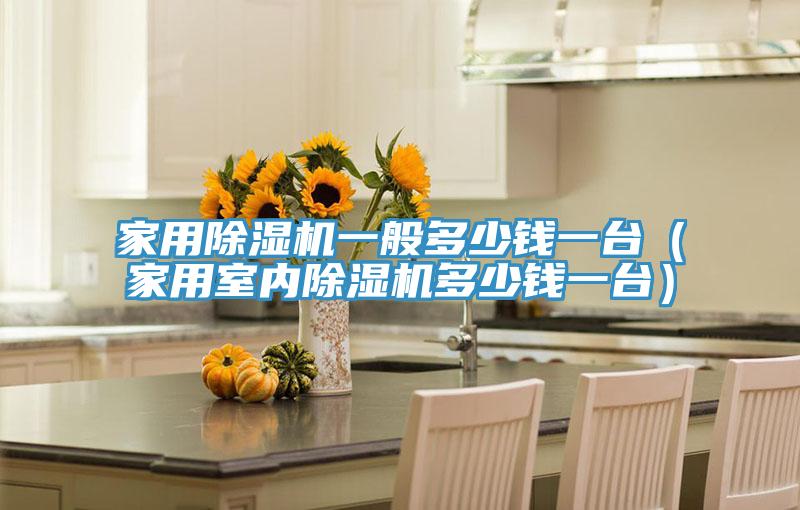 家用除濕機一般多少錢一臺（家用室內除濕機多少錢一臺）