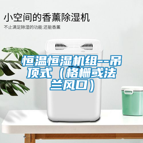 恒溫恒濕機(jī)組--吊頂式（格柵或法蘭風(fēng)口）
