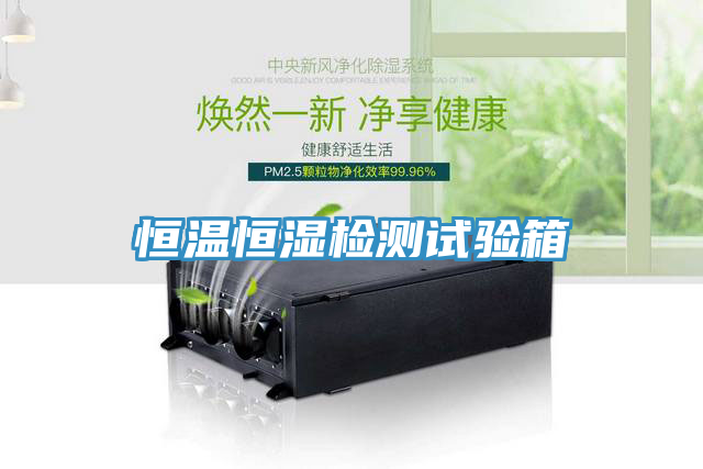 恒溫恒濕檢測試驗(yàn)箱