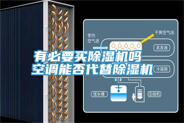 有必要買除濕機嗎 空調能否代替除濕機