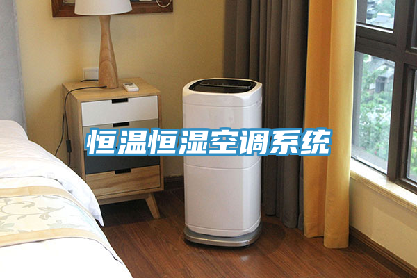恒溫恒濕空調系統