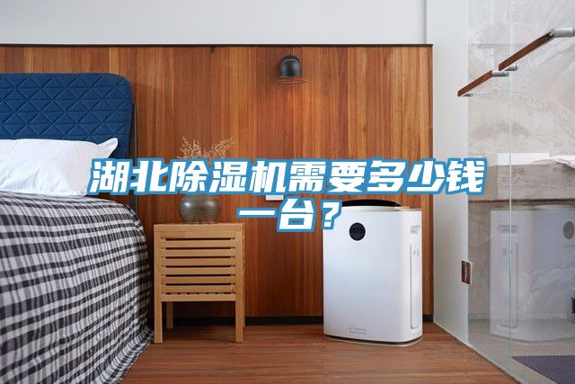 湖北除濕機需要多少錢一臺？