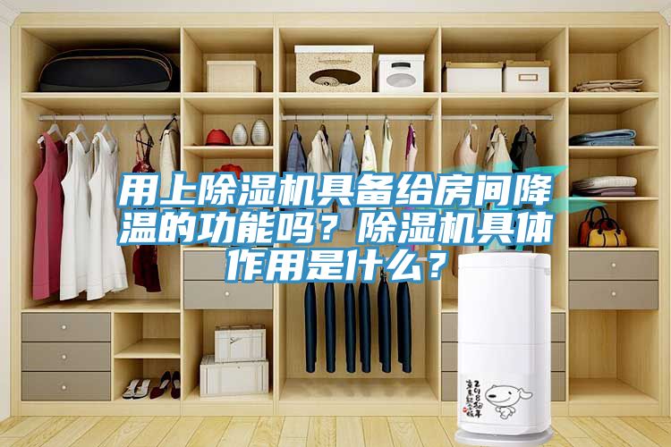 用上除濕機具備給房間降溫的功能嗎？除濕機具體作用是什么？