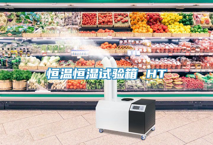 恒溫恒濕試驗箱 HT