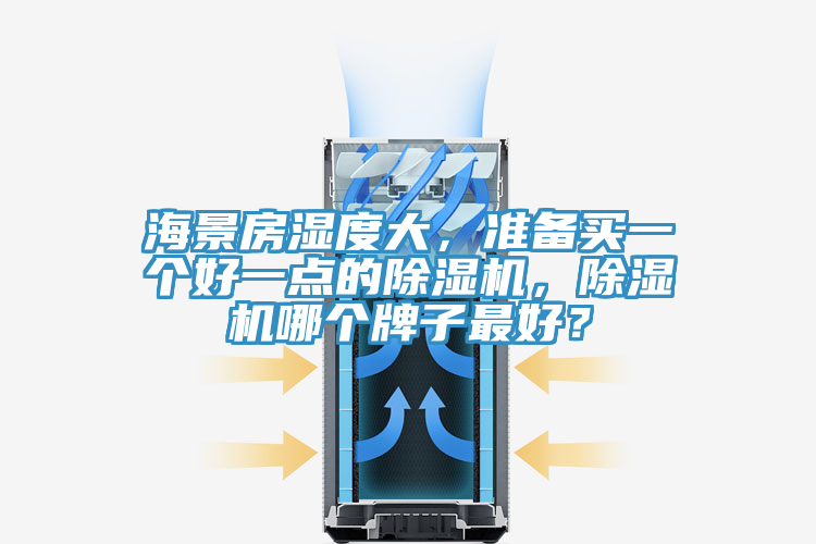 海景房濕度大，準備買一個好一點的除濕機，除濕機哪個牌子最好？