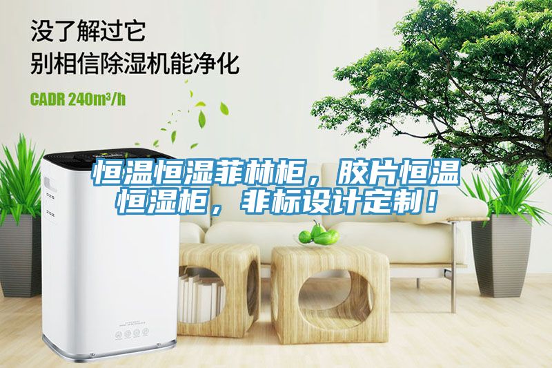 恒溫恒濕菲林柜，膠片恒溫恒濕柜，非標設計定制！