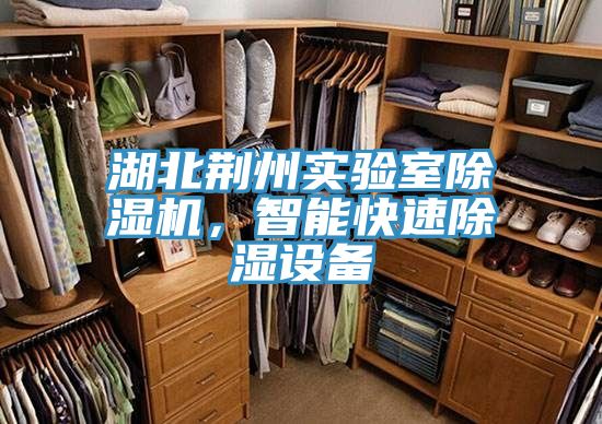 湖北荊州實驗室除濕機，智能快速除濕設(shè)備